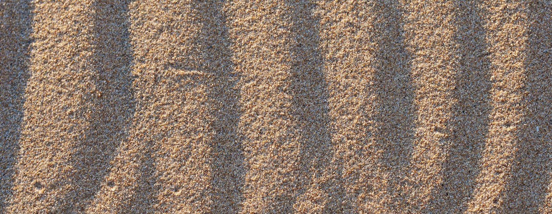 Closeup picture of the sand at the beach